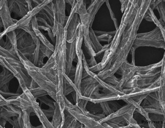 美國馬里蘭大學研制出固體氧化物燃料電池