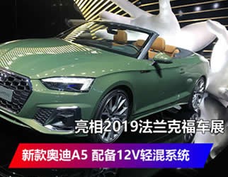 新款奧迪A5 配備12V輕混系統(tǒng) 亮相2019法蘭克福車展